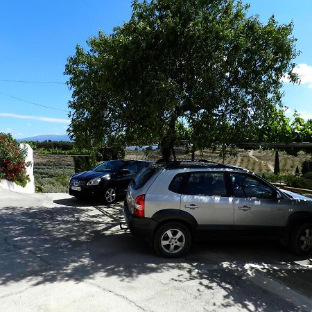 Casa Triana Lejlighed Cuevas del Campo Eksteriør billede
